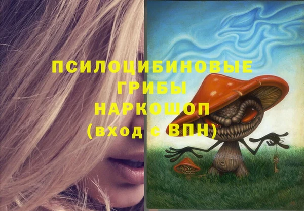 2c-b Алзамай