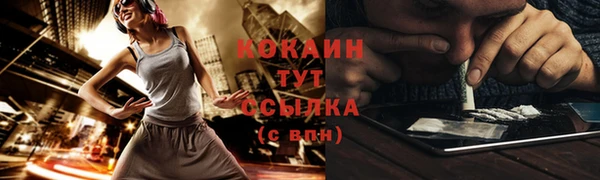 шишки Абинск