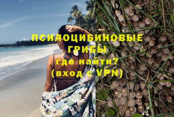 прущие крисы Алексеевка