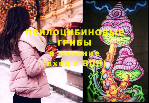 2c-b Алзамай