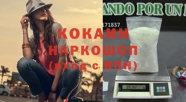 шишки Абинск