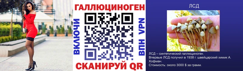 shop телеграм  Тында  Псилоцибиновые грибы мухоморы 