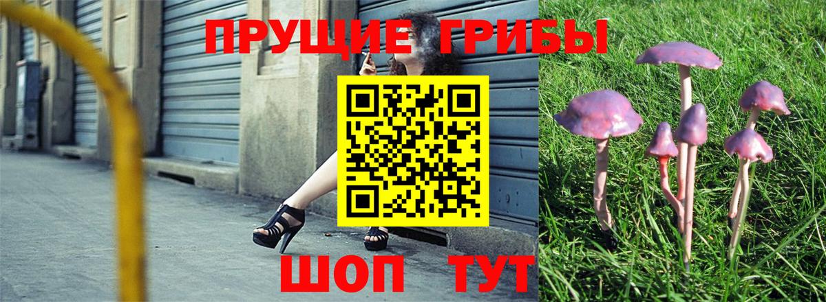 Псилоцибиновые грибы прущие грибы  Вход с VPN  Галлюциногенные грибы мухоморы  Тында 