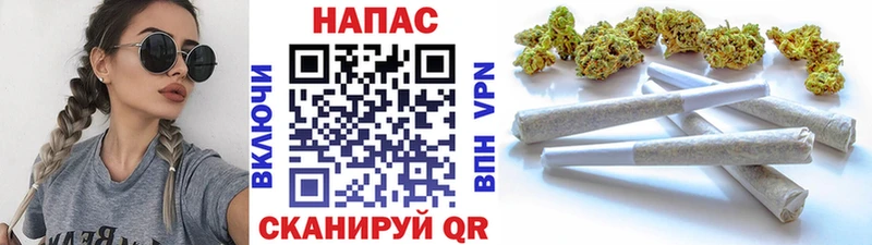 Каннабис сатива  Тында 